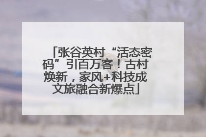 张谷英村“活态密码”引百万客！古村焕新，家风+科技成文旅融合新爆点