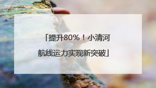 提升80％！小清河航线运力实现新突破