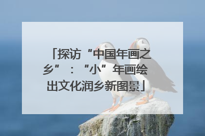探访“中国年画之乡”：“小”年画绘出文化润乡新图景
