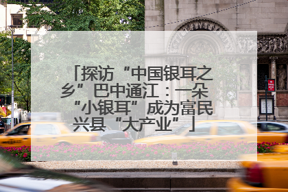 探访“中国银耳之乡”巴中通江：一朵“小银耳”成为富民兴县“大产业”