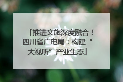 推进文旅深度融合！四川省广电局：构建“大视听”产业生态