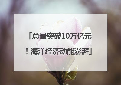 总量突破10万亿元！海洋经济动能澎湃