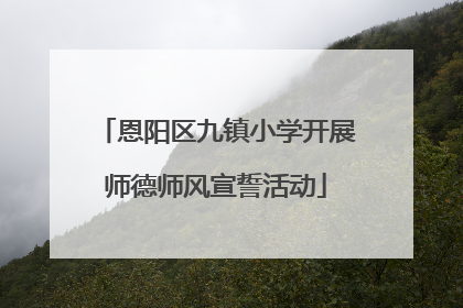恩阳区九镇小学开展师德师风宣誓活动