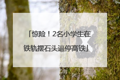 惊险！2名小学生在铁轨摆石头逼停高铁
