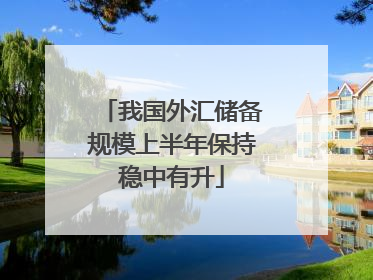 我国外汇储备规模上半年保持稳中有升