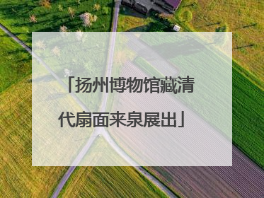 扬州博物馆藏清代扇面来泉展出