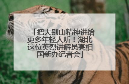把大别山精神讲给更多年轻人听！湖北这位英烈讲解员亮相国新办记者会