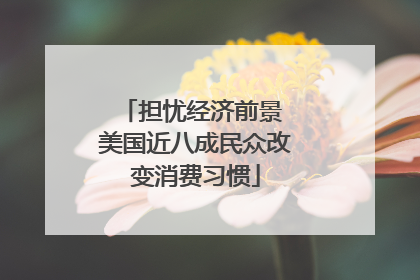 担忧经济前景 美国近八成民众改变消费习惯