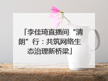 李佳琦直播间“清朗”行：共筑网络生态治理新桥梁