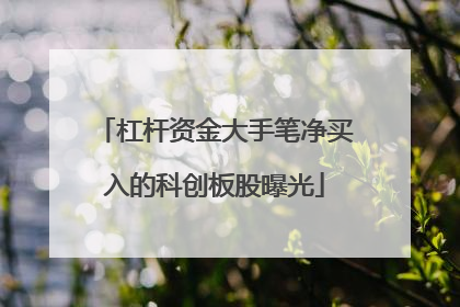 杠杆资金大手笔净买入的科创板股曝光