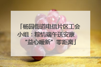 杨园街道电信片区工会小组：粽情端午送安康 “益心暖新”零距离