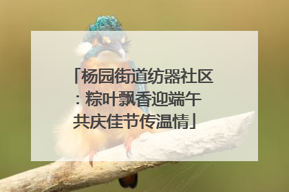 杨园街道纺器社区：粽叶飘香迎端午 共庆佳节传温情