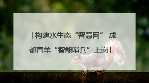 构建水生态“智慧网” 成都青羊“智能哨兵”上岗