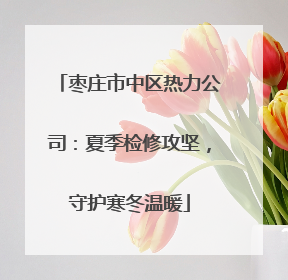 枣庄市中区热力公司：夏季检修攻坚，守护寒冬温暖