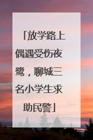 放学路上偶遇受伤夜鹭，聊城三名小学生求助民警