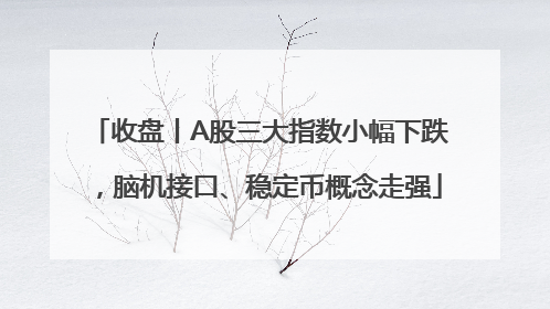 收盘丨A股三大指数小幅下跌，脑机接口、稳定币概念走强