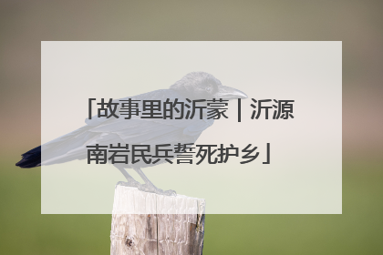 故事里的沂蒙｜沂源南岩民兵誓死护乡