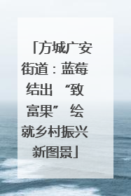 方城广安街道：蓝莓结出 “致富果” 绘就乡村振兴新图景
