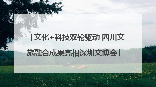 文化+科技双轮驱动 四川文旅融合成果亮相深圳文博会