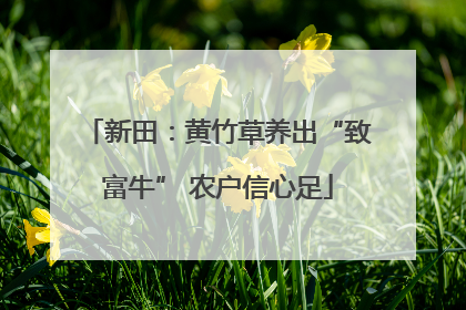 新田：黄竹草养出“致富牛” 农户信心足