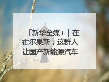 新华全媒+｜在霍尔果斯，这群人让国产新能源汽车“跑”向中亚