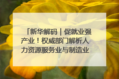 新华解码｜促就业强产业！权威部门解析人力资源服务业与制造业融合发展试点