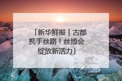新华鲜报｜古都携手丝路！丝博会绽放新活力