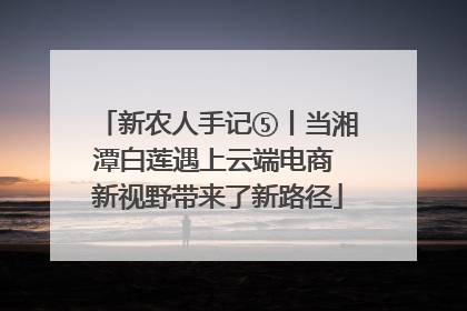 新农人手记⑤丨当湘潭白莲遇上云端电商 新视野带来了新路径