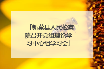 新蔡县人民检察院召开党组理论学习中心组学习会