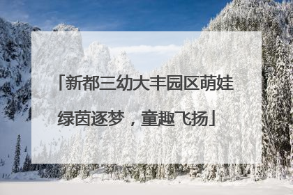 新都三幼大丰园区萌娃绿茵逐梦，童趣飞扬