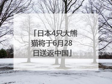 日本4只大熊猫将于6月28日送返中国