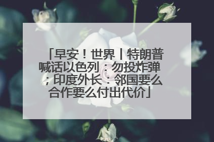 早安！世界丨特朗普喊话以色列：勿投炸弹；印度外长：邻国要么合作要么付出代价