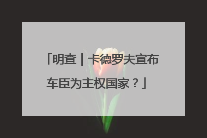 明查｜卡德罗夫宣布车臣为主权国家？