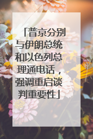 普京分别与伊朗总统和以色列总理通电话，强调重启谈判重要性