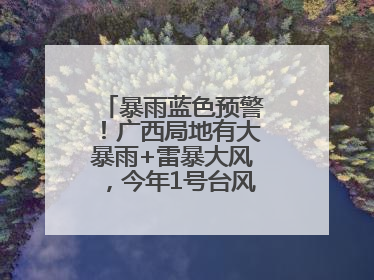 暴雨蓝色预警！广西局地有大暴雨+雷暴大风，今年1号台风最新消息……