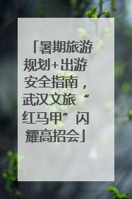 暑期旅游规划+出游安全指南，武汉文旅“红马甲”闪耀高招会