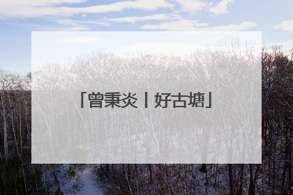 曾秉炎丨好古塘