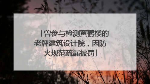 曾参与检测黄鹤楼的老牌建筑设计院，因防火规范疏漏被罚