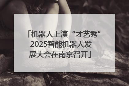 机器人上演“才艺秀” 2025智能机器人发展大会在南京召开
