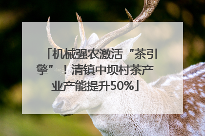 机械强农激活“茶引擎”！清镇中坝村茶产业产能提升50%