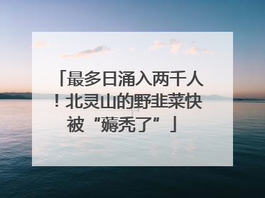 最多日涌入两千人！北灵山的野韭菜快被“薅秃了”