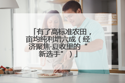 有了高标准农田，亩均纯利增六成（经济聚焦·夏收里的“新选手”）
