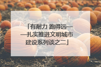 有耐力 跑得远——扎实推进文明城市建设系列谈之二