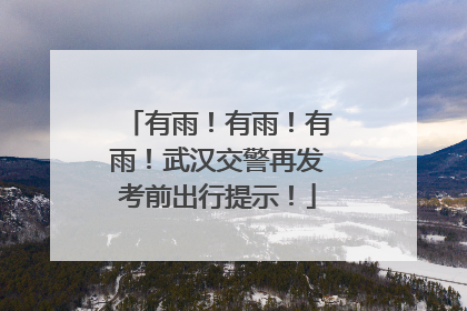 有雨！有雨！有雨！武汉交警再发考前出行提示！