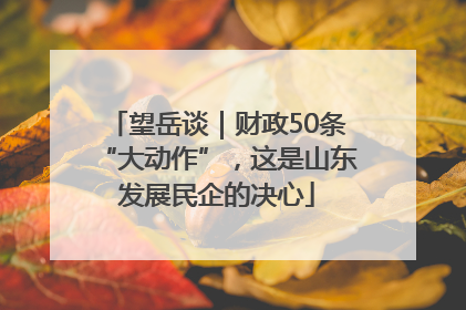 望岳谈｜财政50条“大动作”，这是山东发展民企的决心