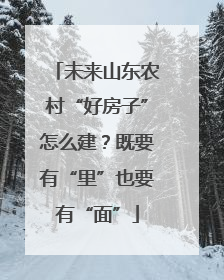 未来山东农村“好房子”怎么建？既要有“里”也要有“面”