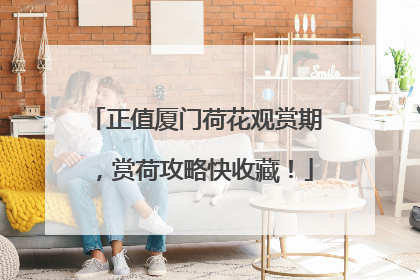 正值厦门荷花观赏期，赏荷攻略快收藏！