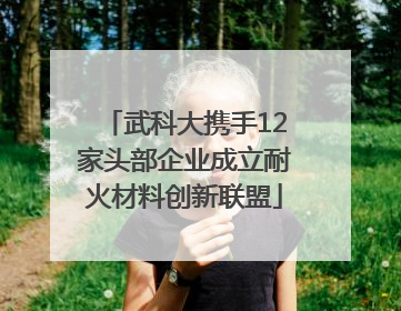 武科大携手12家头部企业成立耐火材料创新联盟