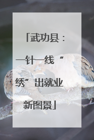 武功县：一针一线“绣”出就业新图景