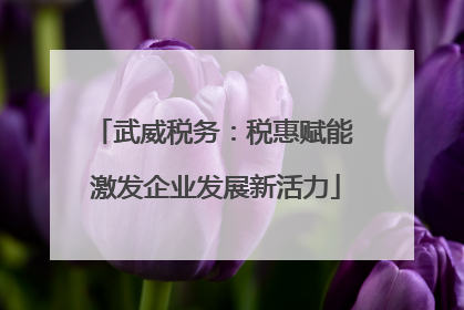 武威税务：税惠赋能 激发企业发展新活力